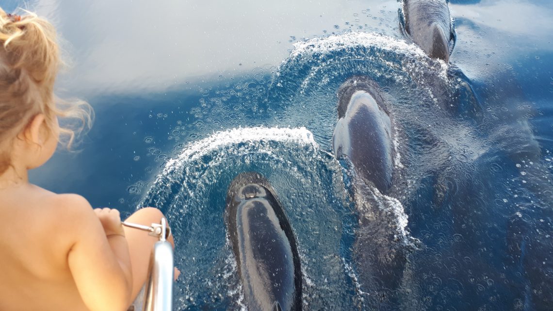 Une rencontre magique