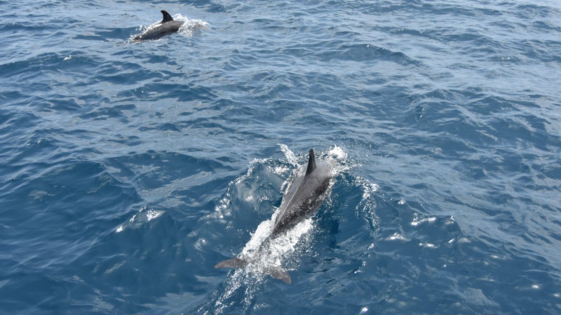 Direction Dakar, un stop a El Hierro