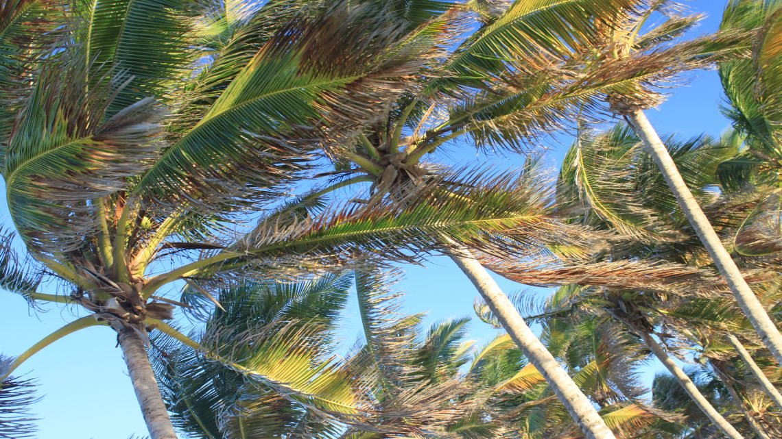 Petite Terre (de Robinsons Guadeloupéens)